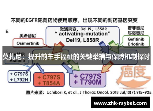 莫扎尼:提升前车手福祉的关键举措与保障机制探讨 莫扎尼:提升前车手福祉的关键举措与保障机制探讨