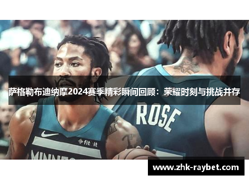 萨格勒布迪纳摩2024赛季精彩瞬间回顾：荣耀时刻与挑战并存