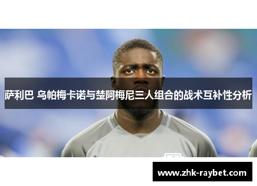 萨利巴 乌帕梅卡诺与楚阿梅尼三人组合的战术互补性分析 萨利巴 乌帕梅卡诺与楚阿梅尼三人组合的战术互补性分析
