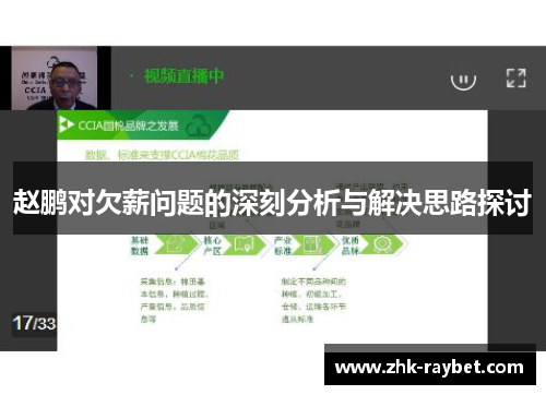 赵鹏对欠薪问题的深刻分析与解决思路探讨